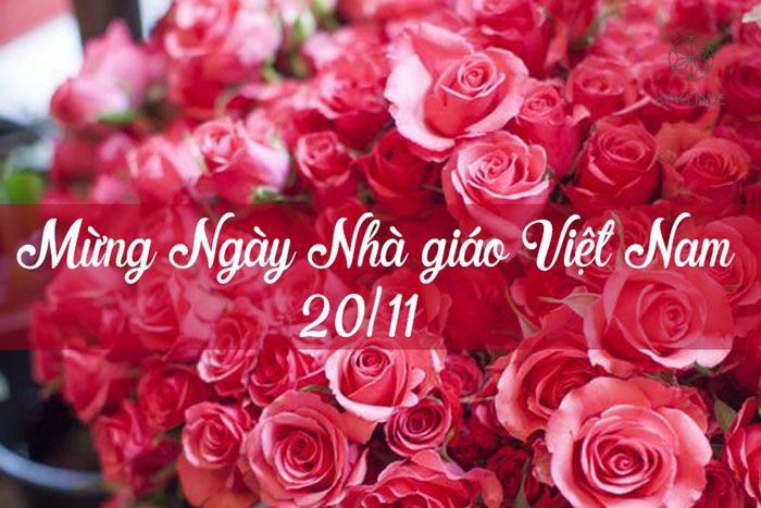 Quà tặng 20/11 ý nghĩa nhất